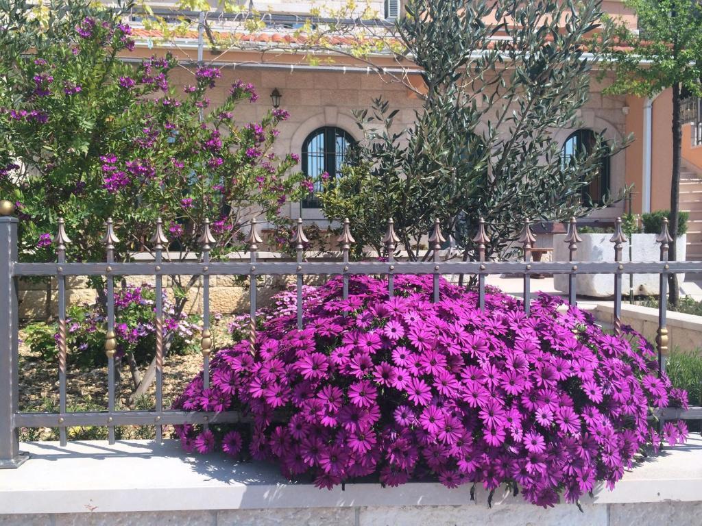 Villa Marija Podgora Exterior foto